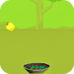 Apples